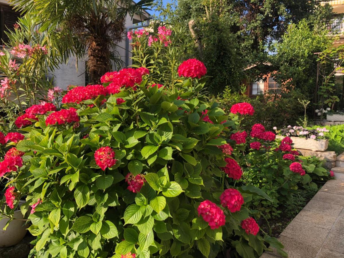 Casa Hortensia Njivice Exteriör bild